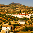 Spirit of Andalusia