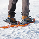 Plains of Abraham snowshoeing tour