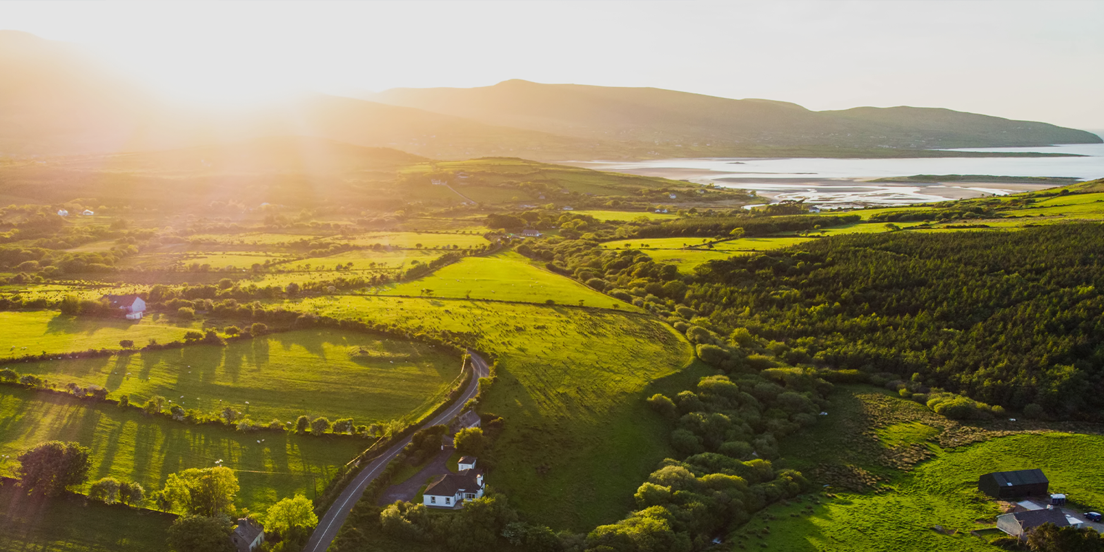 Image for tour: Agriculture in Ireland