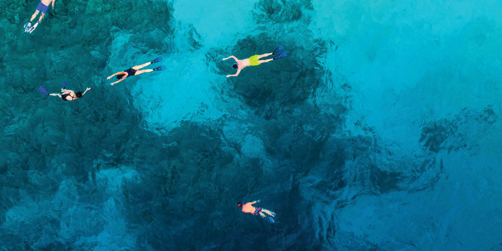 Image for tour: Environment & Culture in Belize
