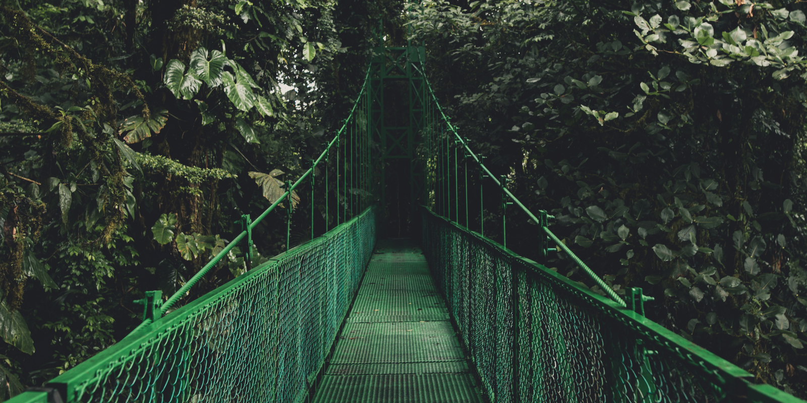 Image for tour: Environment & Culture in Costa Rica