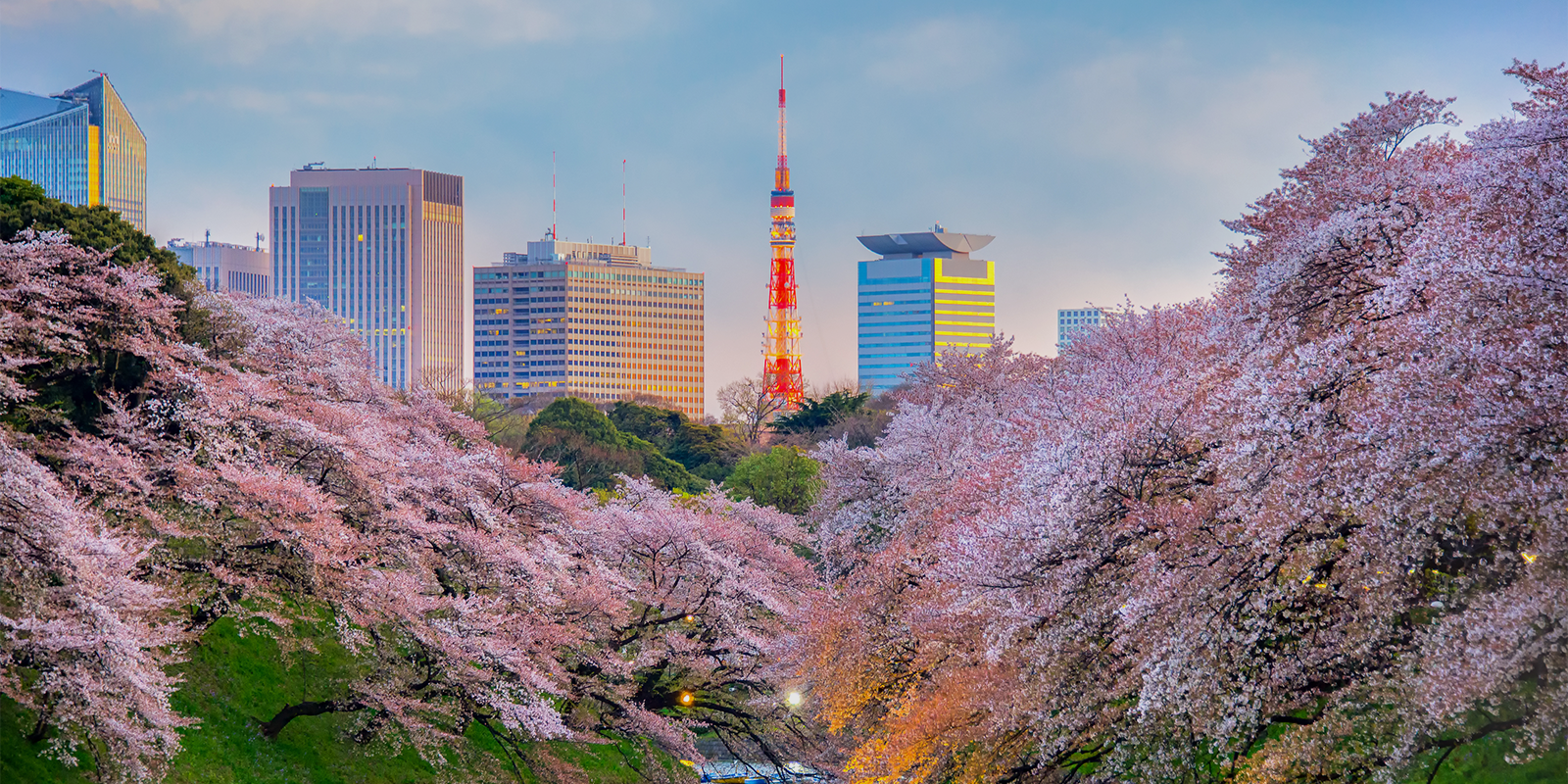 Image for tour: South Korea & Japan