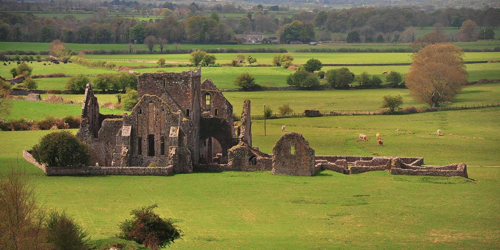 Image for tour: Irish Heritage