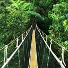 Sarapiquí canopy tour