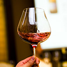 Tuscan wine tasting