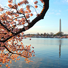 Dinner and dancing on the Potomac