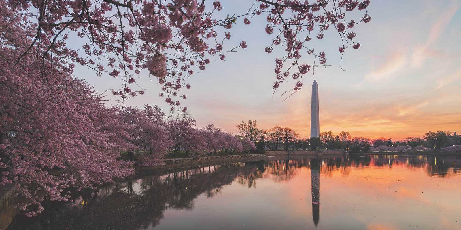 Image for tour: Washington, D.C.: The Capital Tour