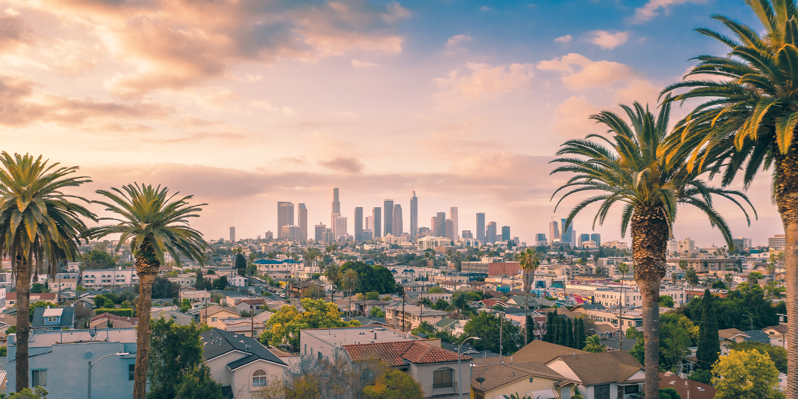 Image for tour: Lights, Camera, Los Angeles!