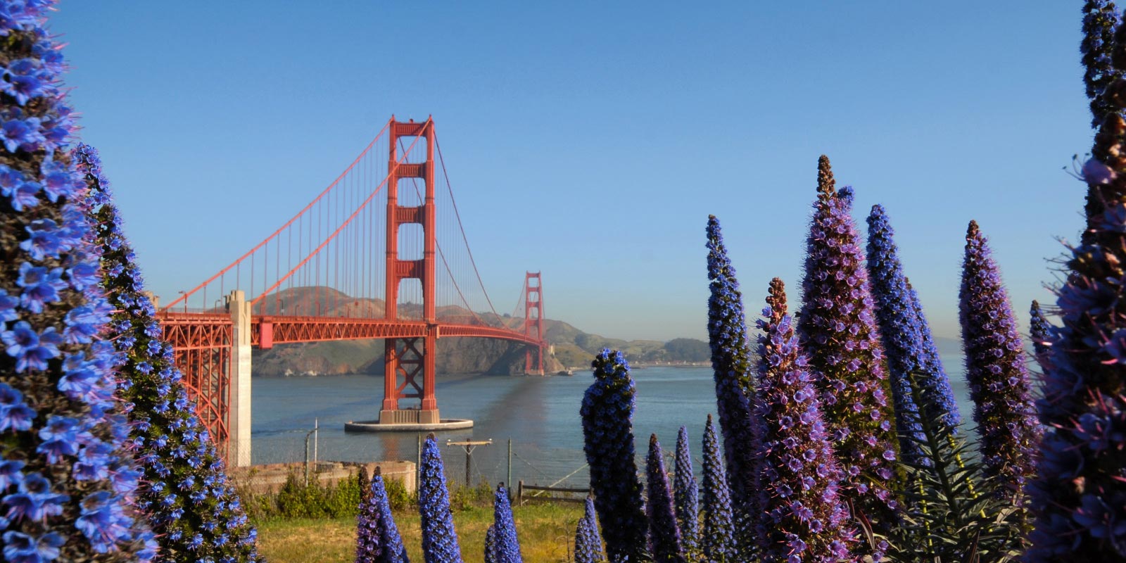 Image for tour: San Francisco: City by the Bay