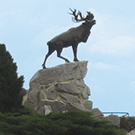 Full-day excursion to Vimy & Beaumont-Hamel