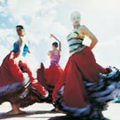 Madrid Flamenco Evening