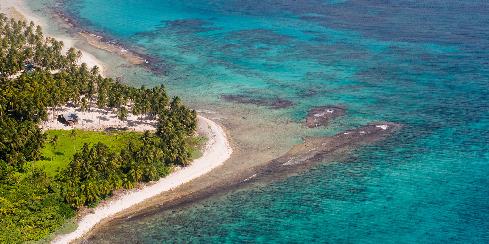 Image for tour: Biodiversity in Belize