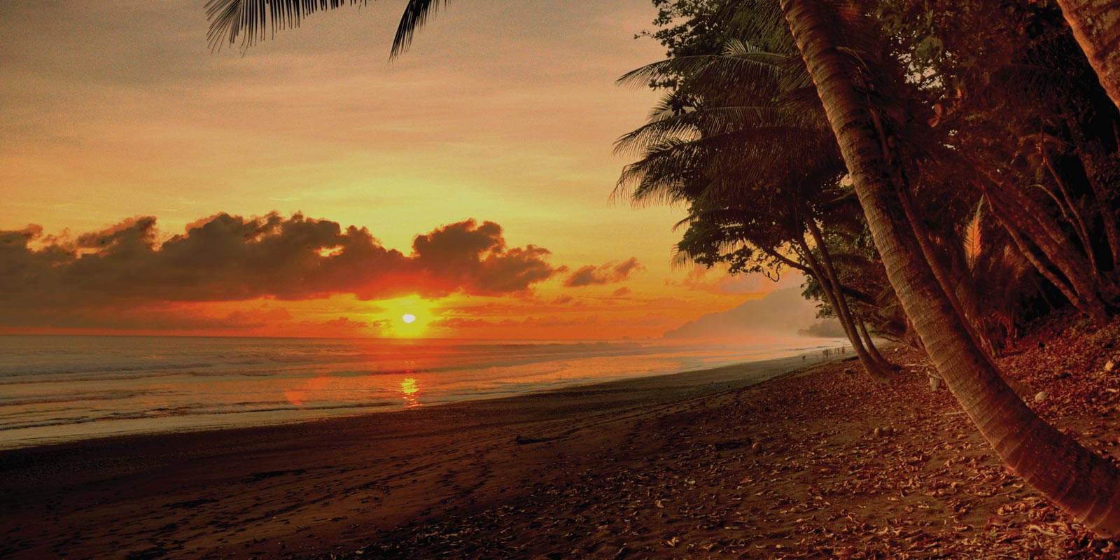 Image for tour: Discover Costa Rica