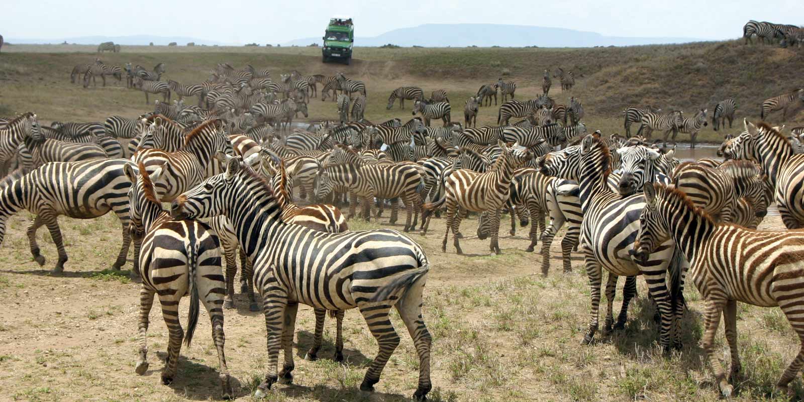 Image for tour: Discover South Africa