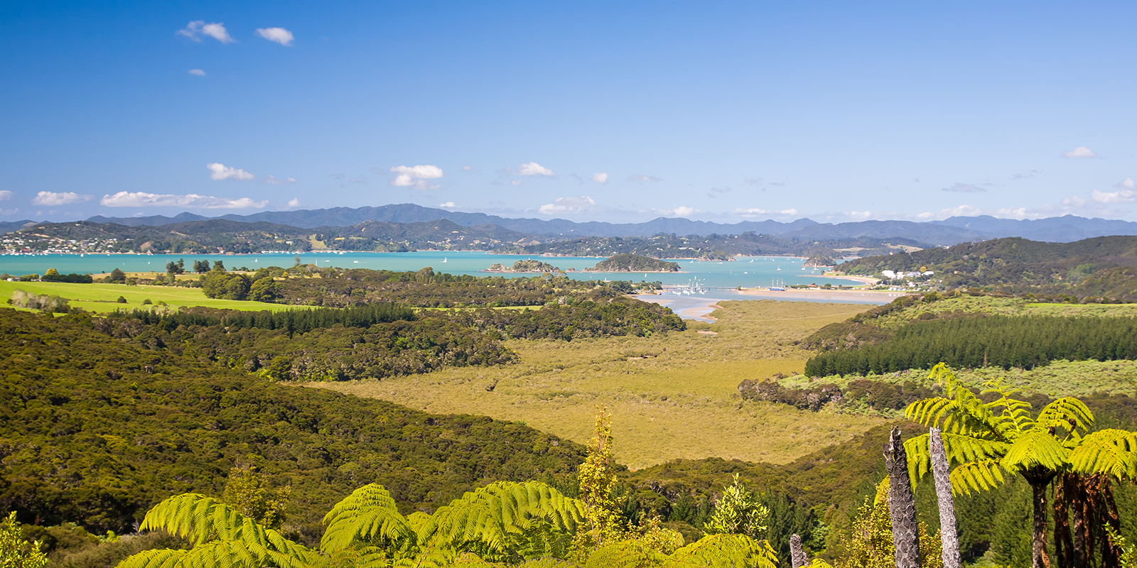 Image for tour: Expedition to Australia & New Zealand