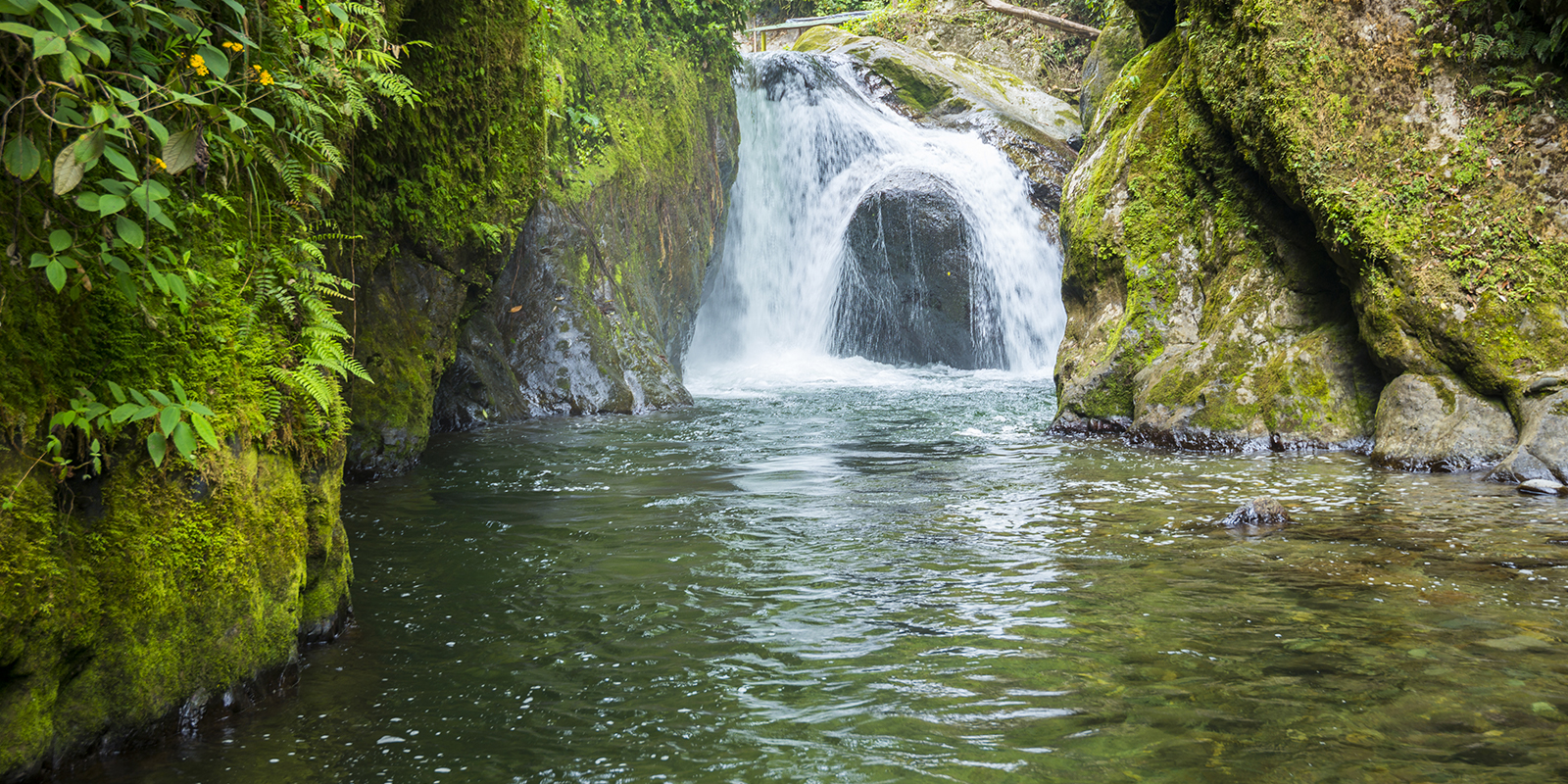 Image for tour: Ecosystems of Ecuador