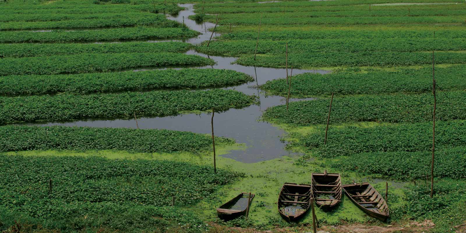 Image for tour: Thailand, Cambodia & Vietnam