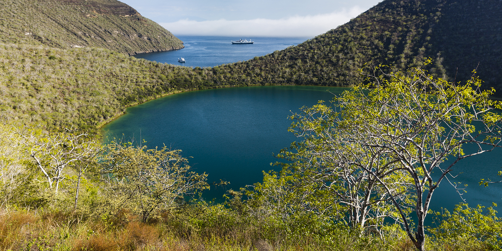 Image for tour: Journey Through the Galápagos