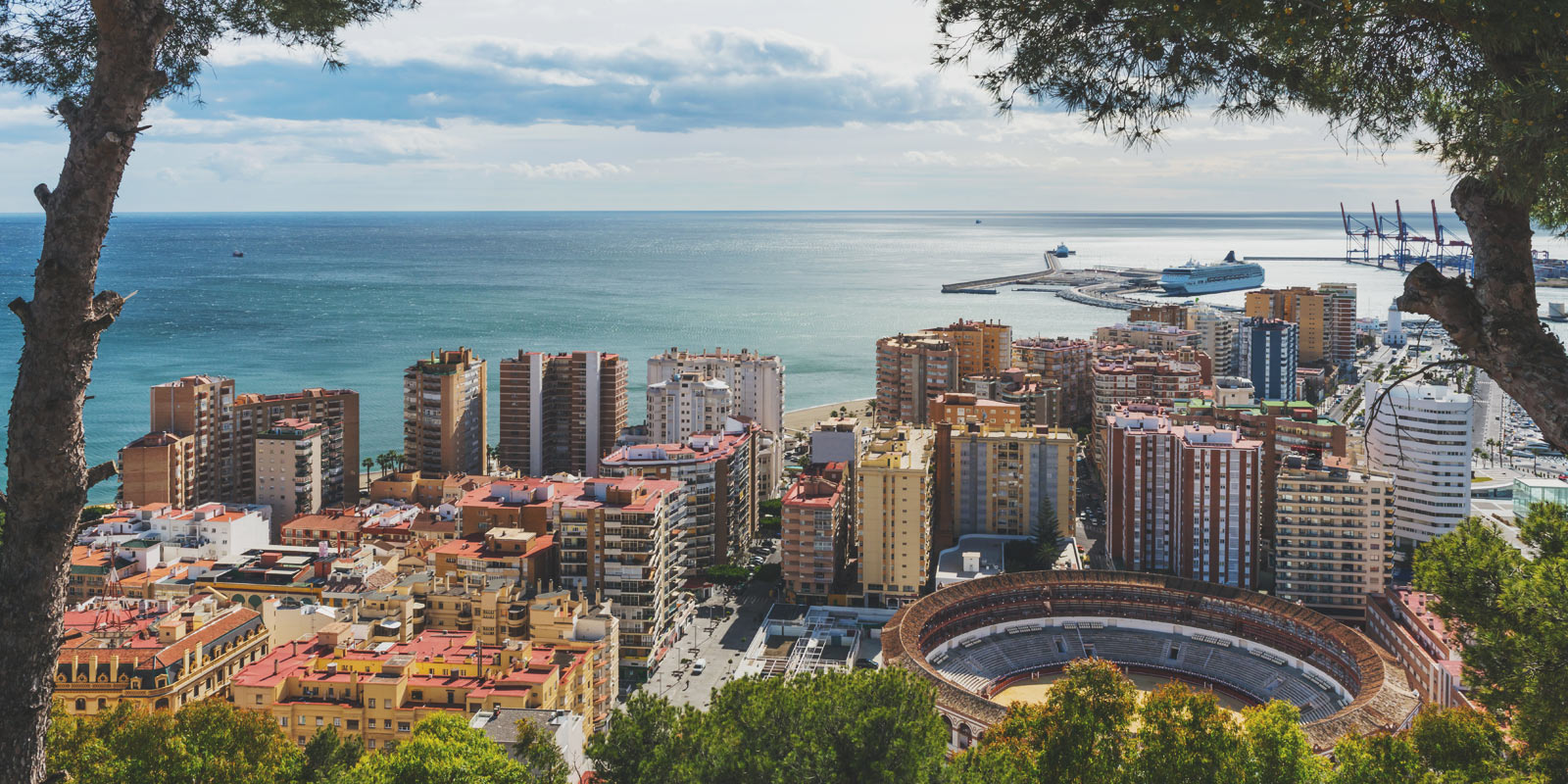 Image for tour: Language Immersion in Málaga