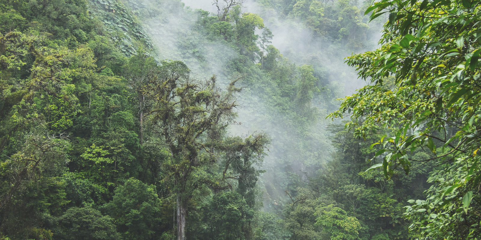 Image for tour: Language Immersion Through Costa Rica