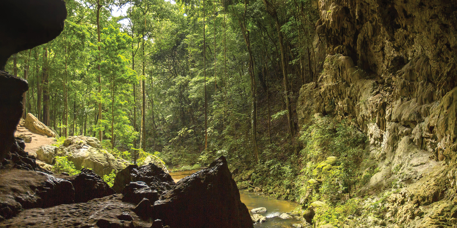 Image for tour: Impressions of Belize