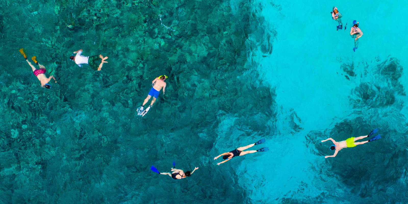 Image for tour: Belize: Conservation From Ridge to Reef