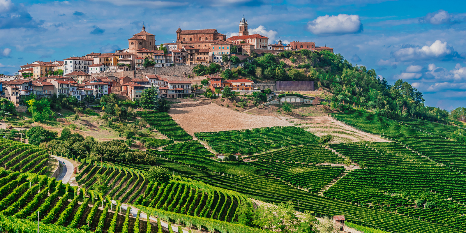 Image for tour: Sustainable Farming in Northern Italy