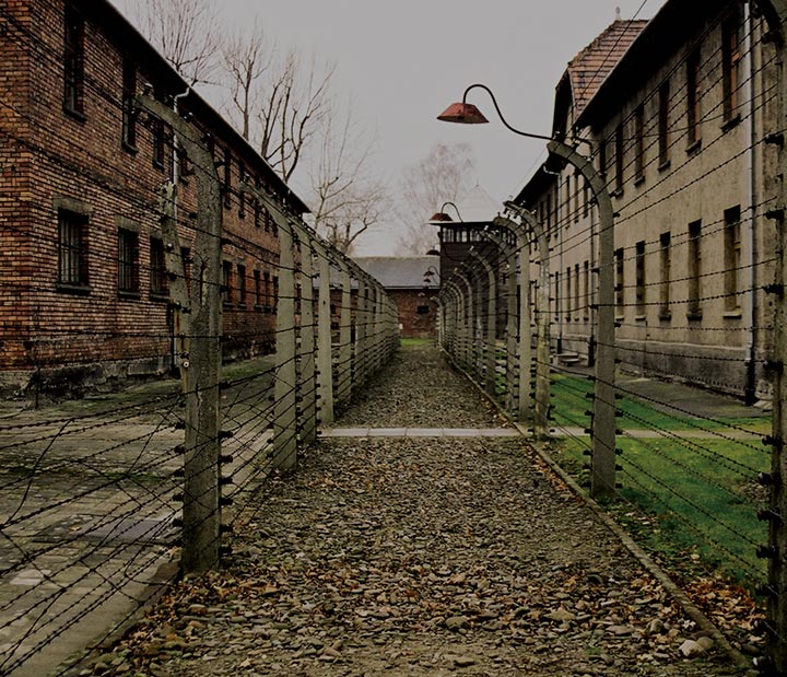 Image displaying map describing the itinerary of the Central Europe and the Holocaust tour