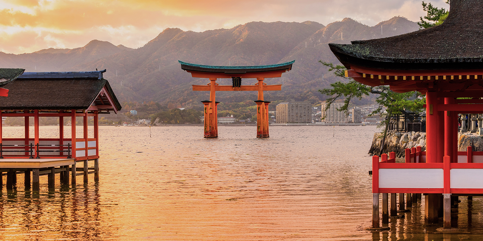 Image for tour: 20th Century Japan