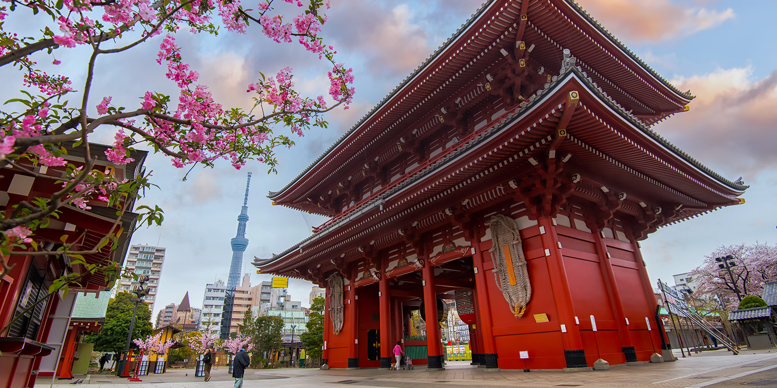 Image for tour: Middle School: Explore Japan