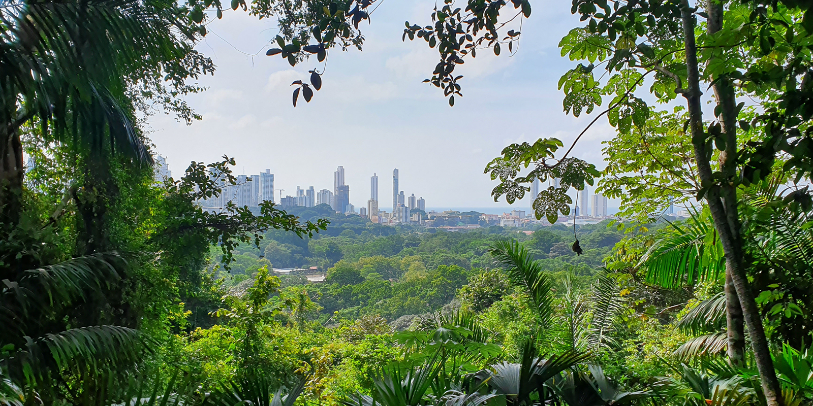 Image for tour: Discover Panama