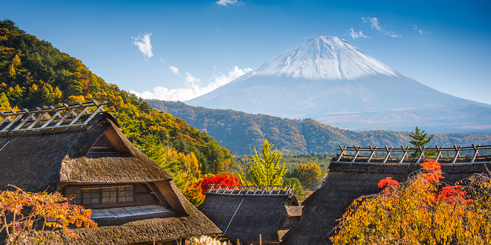 Image for tour: South Korea & Japan