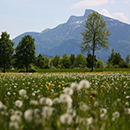 Salzburg Sound of Music Tour