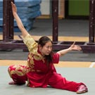 The Legend of Kung Fu show