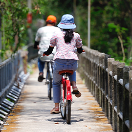 Bangkok bike tour