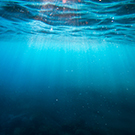 Learning Module: Participate in a Water/Ocean Literacy Workshop