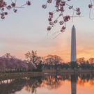 Washington, D.C.: The Capital Tour