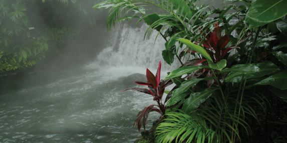 Costa Rica : Une touche tropicale