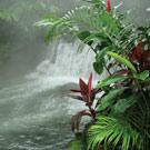 Costa Rica : un air des tropiques