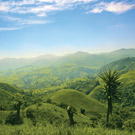 L’écologie au Costa Rica