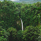 Travel for Credit: Environmental Science in Costa Rica