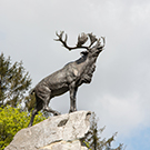 Trail of the Caribou: London to Beaumont-Hamel