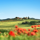 Ruines romaines et Soleil de Toscane
