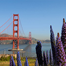San Francisco and Monterey