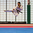 Taekwondo Experience