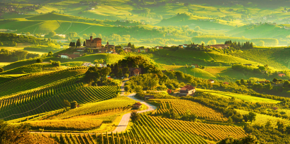 Cuisine & Culture in Northern Italy