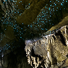 Grotte aux vers luisants de Waitomo et rafting