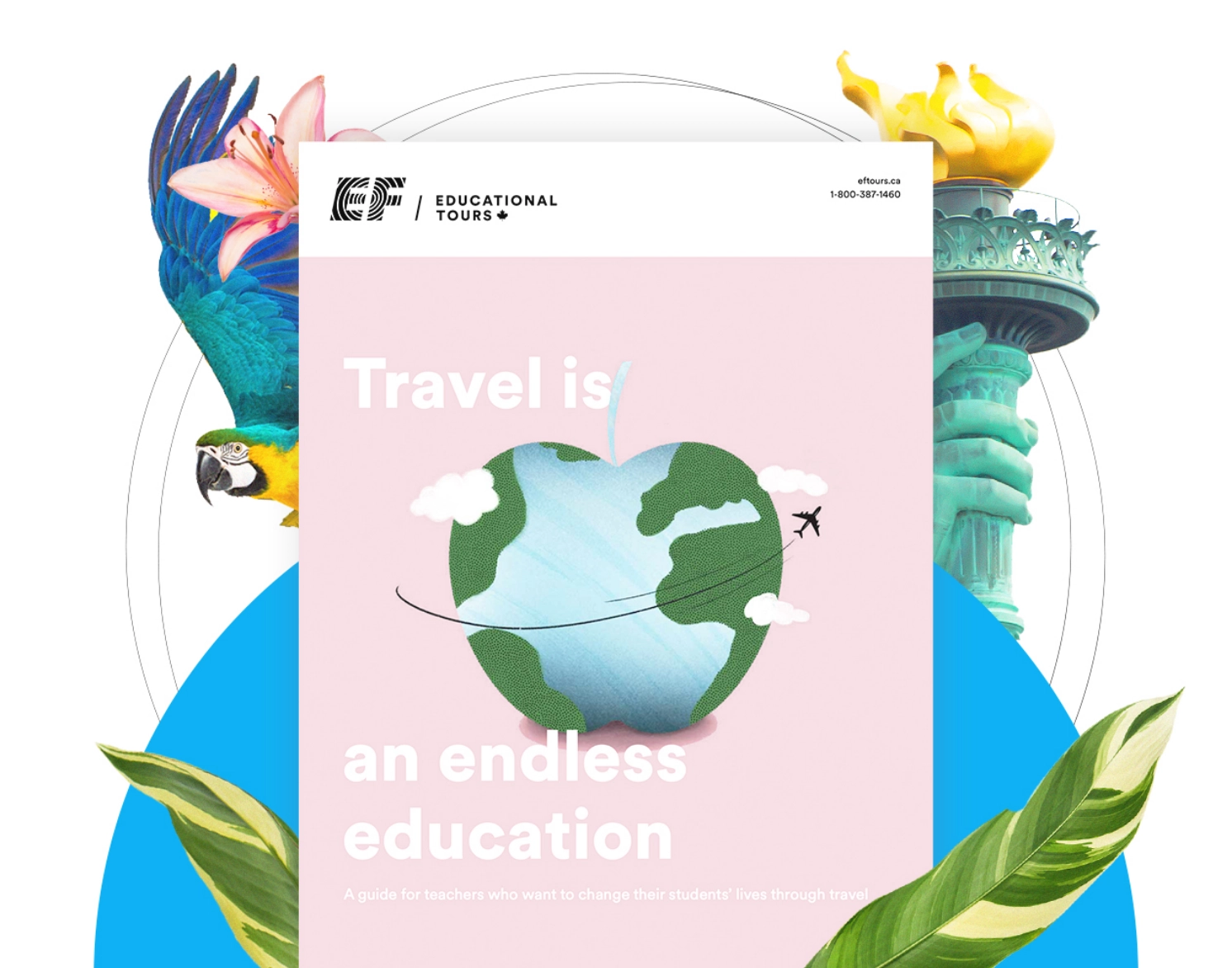 EF Educational tours - Safety