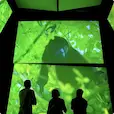 Photograph of an exhibit at the Biomuseo in Panama, with three people looking up at a green screen of a monkey—something travelers will most likely see on an EF STEM travel program as they experience the benefits of STEM education