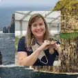 An image of EF Group Leader Jessica, who created her own STEM tour focused on agriculture in Ireland, in the middle of a collage also picturing a cow on a beautiful green landscape, and cliffs in Ireland